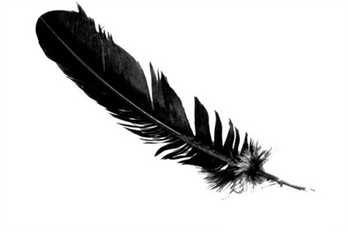 black-feather2 (1)